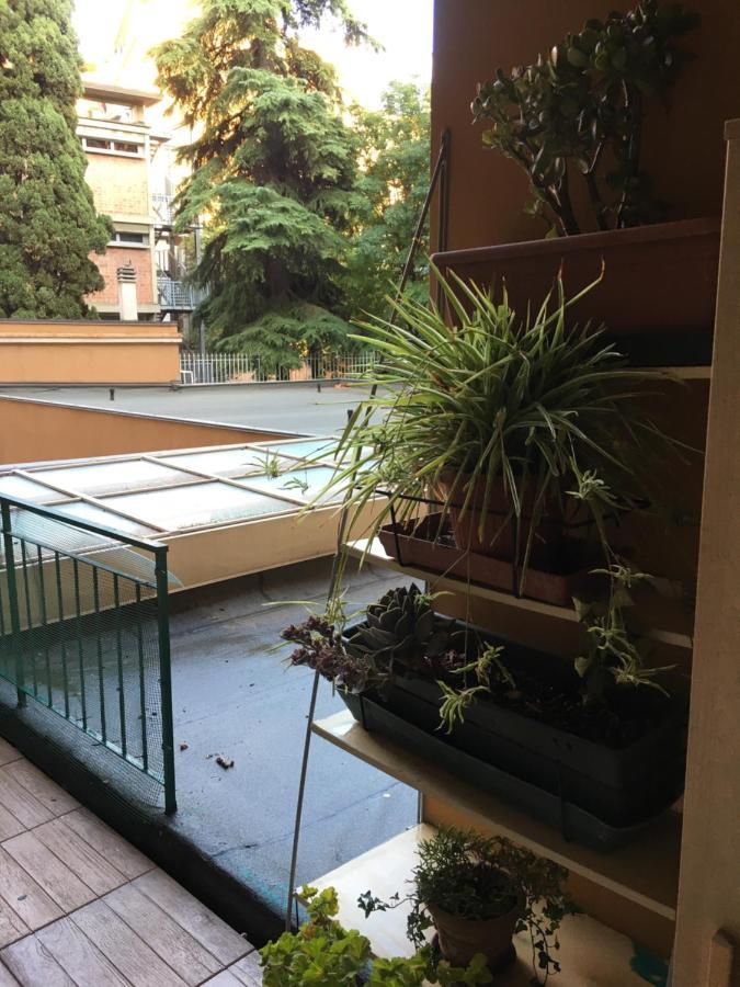 Little Secret Apartment By Wonderful Italy Bologna Exteriör bild